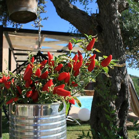 Il Podere Dell'Angelo Old Country House Belvedere Marittimo Exterior foto